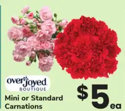 ACME Mini or Standard Carnations offer