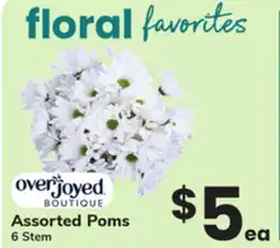 ACME Assorted Poms offer