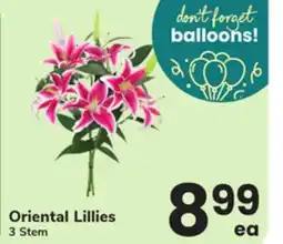 ACME Oriental Lillies offer