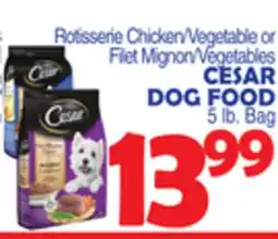Bravo Supermarkets CESAR DOG FOOD 5 lb. Bag offer