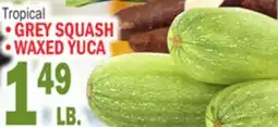 Bravo Supermarkets • GREY SQUASH • WAXED YUCA offer