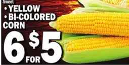 Bravo Supermarkets • YELLOW • BI-COLORED CORN offer