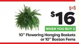 Weis Markets 10 Flowering Hanging Baskets or 10 Boston Ferns offer