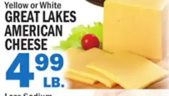 C Town GREAT LAKES AMERICAN CHEESE offer