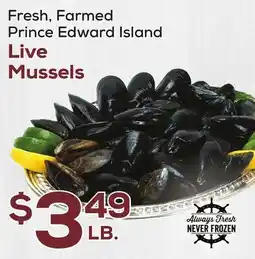DeCicco & Sons Live Mussels offer