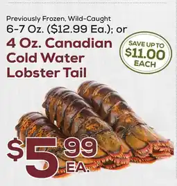 DeCicco & Sons Canadian Cold Water Lobster Tail offer