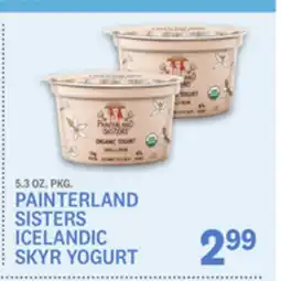 Kings Food Markets PAINTERLAND SISTERS ICELANDIC SKYR YOGURT offer