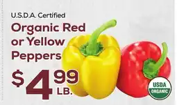 DeCicco & Sons Red or Yellow Peppers offer
