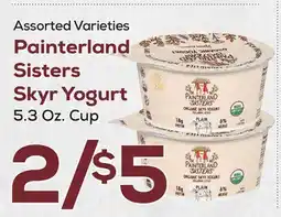 DeCicco & Sons Painterland Sisters Skyr Yogurt offer