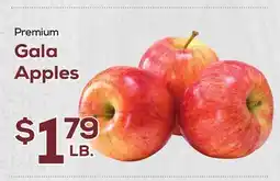 DeCicco & Sons Gala Apples offer