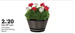 Lowe's 1.15-Gallon Annuals Whiskey Barrel offer