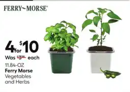 Lowe's 11.84-OZ Vegetables and Herbs offer