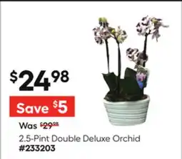 Lowe's 2.5-Pint Double Deluxe Orchid offer