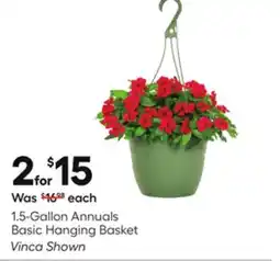 Lowe's 1.5-Gallon Annuals Basic Hanging Basket offer