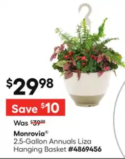 Lowe's 2.5-Gallon Annuals Liza Hanging Basket offer