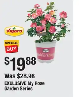 The Home Depot Vigoro My Rose Garden Series offer