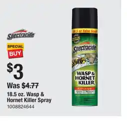 The Home Depot SPECTRACIDE 18.5 oz. Wasp & Hornet Killer Spray offer