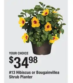 The Home Depot 13 Hibiscus or Bougainvillea Shrub Planter offer