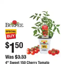 The Home Depot 4 Sweet 150 Cherry Tomato offer