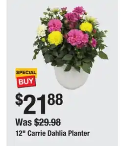 The Home Depot 12 Carrie Dahlia Planter offer