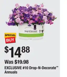 The Home Depot EXCLUSIVE #10 Drop-N-Decorate Annuals offer