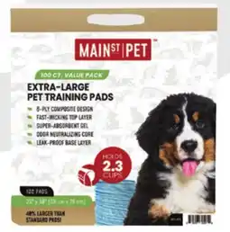 Runnings 23 x 30 Pet Training Pads offer