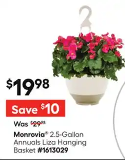 Lowe's 2.5-Gallon Annuals Liza Hanging Basket offer
