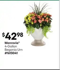 Lowe's 4-Gallon Begonia Urn offer