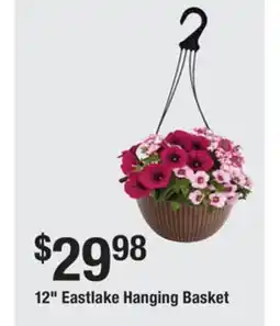 The Home Depot 12 Eastlake Hanging Basket offer