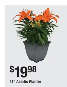 The Home Depot 11 Asiatic Planter offer