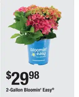 The Home Depot 2-Gallon Bloomin' Easy offer