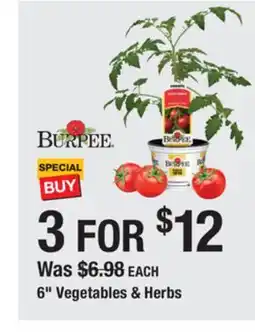 The Home Depot BURPEE 6 Vegetables & Herbs offer