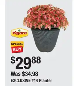 The Home Depot Vigoro #14 Planter offer