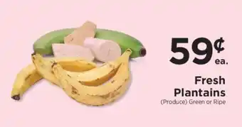 Fresh Plantains