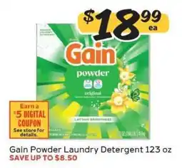 Winn Dixie Gain Powder Laundry Detergent offer