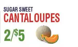 Circus Fruits SUGAR SWEET CANTALoupes offer
