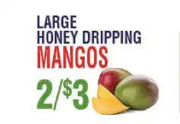 Circus Fruits LARGE HONEY DРИPPING MANGOS offer