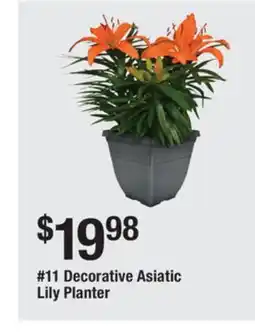 The Home Depot Decorative Asiatic Lily Planter offer