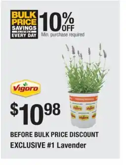 The Home Depot VIGORO #1 Lavender offer
