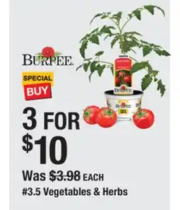 The Home Depot BURPEE #3.5 Vegetables & Herbs offer