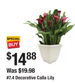 The Home Depot 7.4 Decorative Calla Lily offer