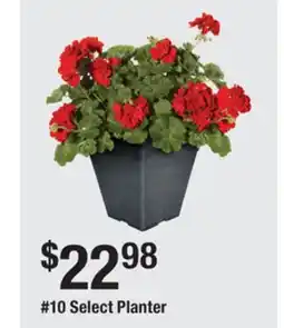 The Home Depot 10 Select Planter offer
