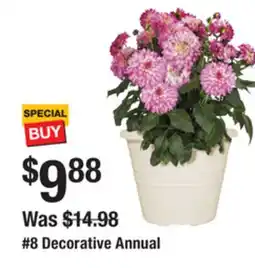 The Home Depot 8 Decorative Annual offer