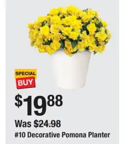 The Home Depot 10 Decorative Pomona Planter offer