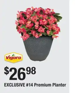 The Home Depot Vigoro #14 Premium Planter offer