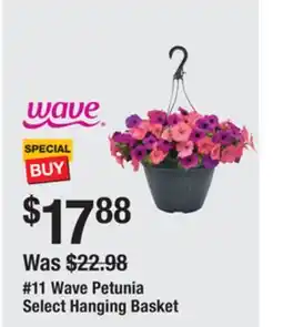 The Home Depot 11 WAVE Petunia offer