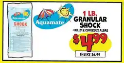 Ollie's AQUAMATE 1 LB. GRANULAR SHOCK offer
