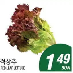 Joong Boo Market RED LEAF LETTUCE offer