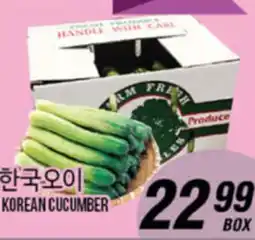 Joong Boo Market KOREAN CUCUMBER offer