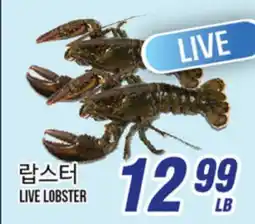 Joong Boo Market LIVE LOBSTER offer
